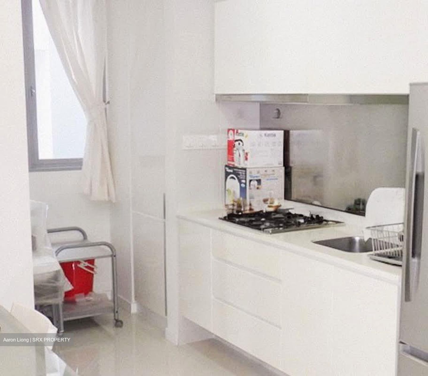 Ferraria Park Condominium (D17), Condominium #566302121
